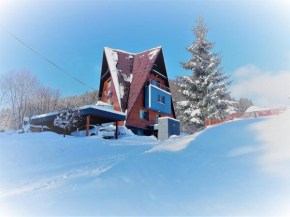 Vila Anna Wellness Halenkov